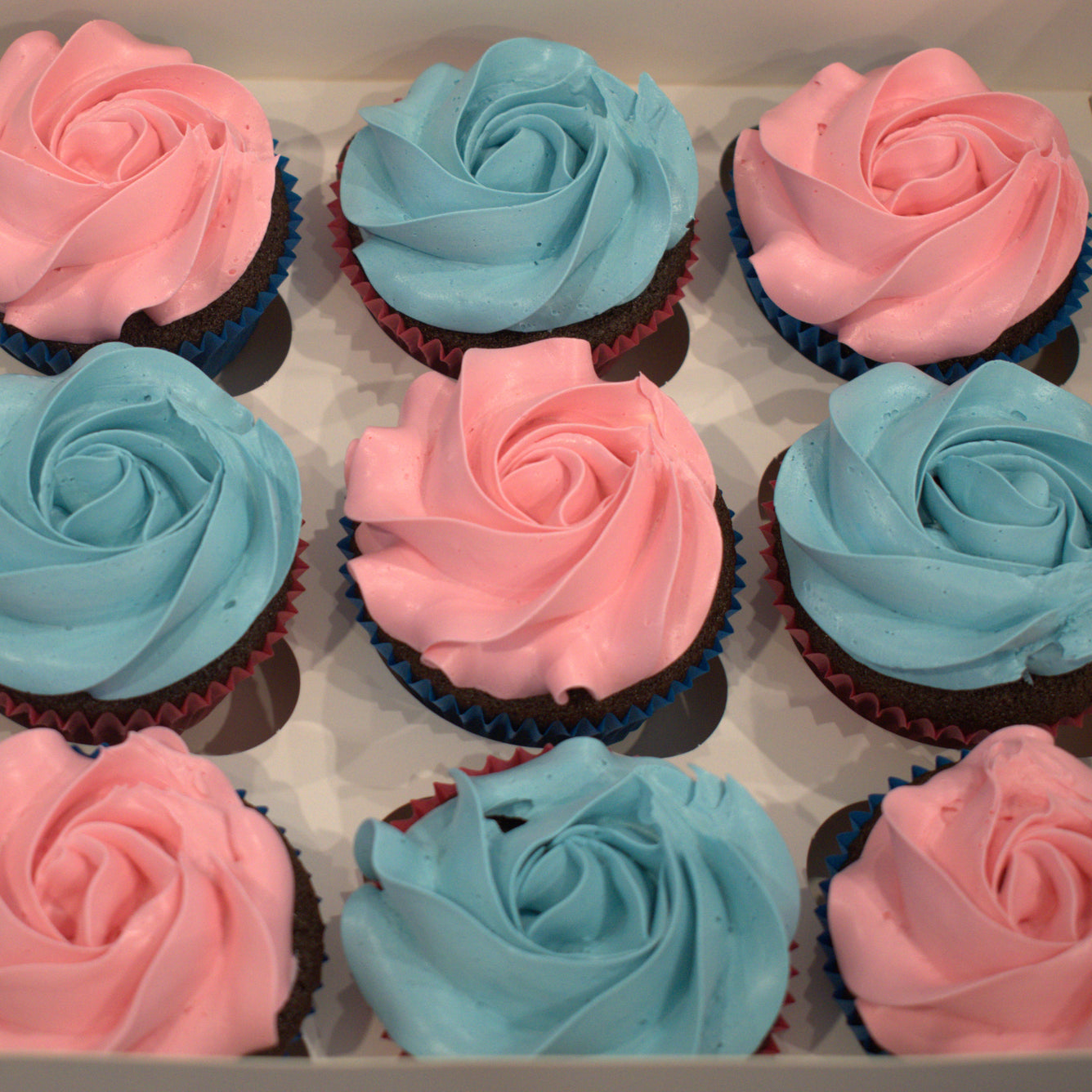 Gender Reveal Cupcakes