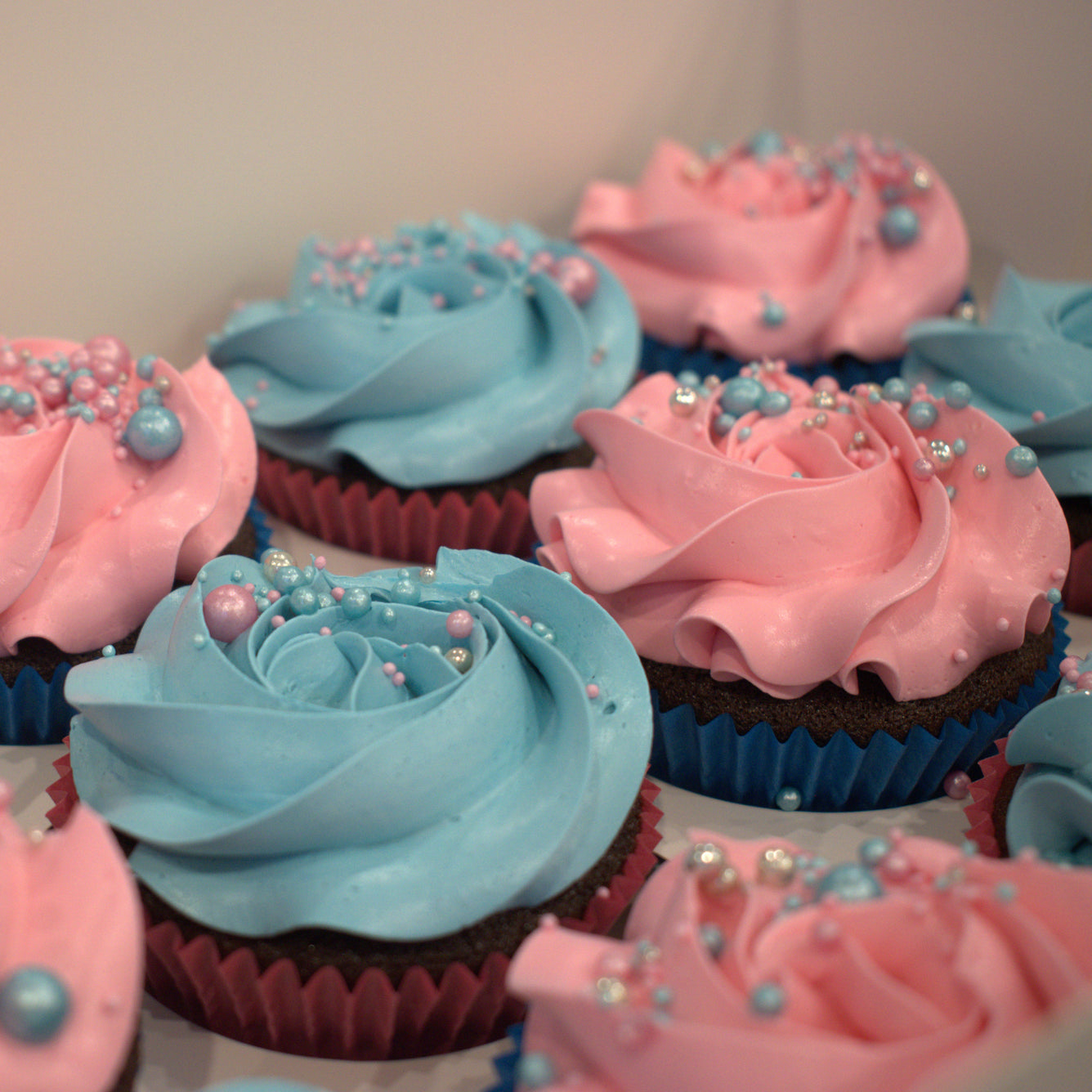 Gender Reveal Cupcakes